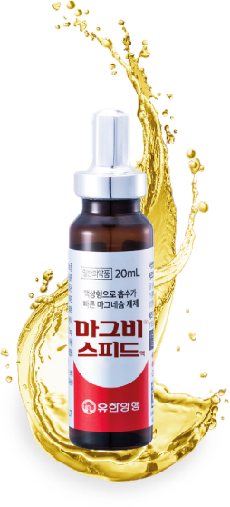 마그비